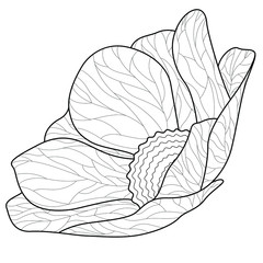Beautiful flower.Coloring book antistress for children and adults. Zen-tangle style.Black and white drawing