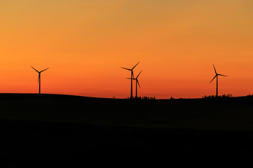 Fototapeta na wymiar wind turbines in the rural landscape at sunset