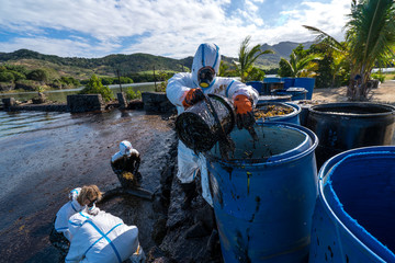 Volunteers clean the ocean coast from oil after a tanker wreck. Mauritius