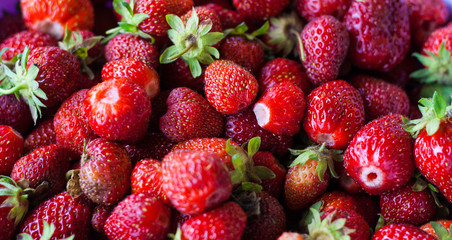 Freshly picked strawberries. Strawberry. Food background. Red ripe strawberry background. Close-up, top view. Strawberry texture macro shot. Beautiful berry, healthy food.