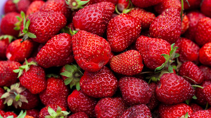 Many Juicy beautiful red freshly picked strawberries. Food background.  Natural strawberries close-up, top view. Macro shot of strawberry texture. Healthy and wholesome food. Banner for web site