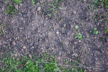 soil texture. ground and soil background.