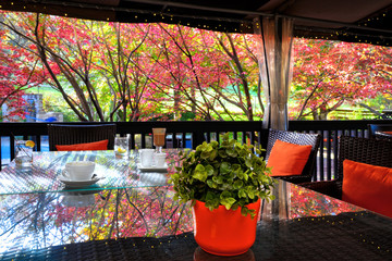 Reflection of the autumn leaves color on a dining table in a tourist resort
