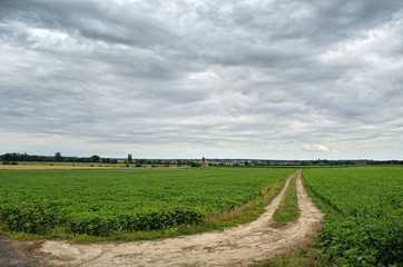 Fototapeta na wymiar A dirt road in green field leads to the village