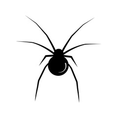 Black spider on a white background. Vector illustration