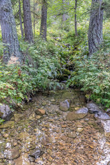 Obraz premium Cascade dans les Alpes