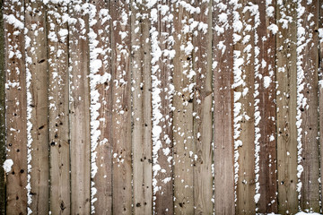 The first sticky snowfall of the year adhering to a fence creating interesting white textures on the brown fence boards.
