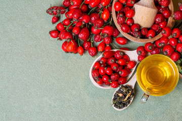Dog rose, bunch branch Rosehips, types Rosa canina hips and herbal tea - Medicinal plants herbs composition