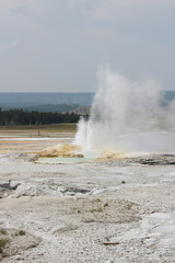 Geyser in Yellowstone National Park.