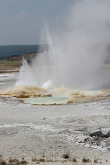 Geyser in Yellowstone National Park.
