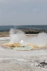 Geyser in Yellowstone National Park.