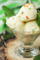 Ice cream scoops in an ice cream bowl
