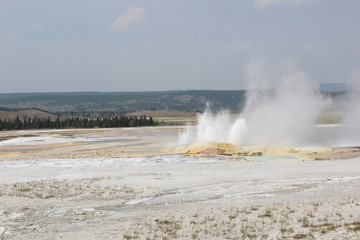 Geyser in Yellowstone National Park.