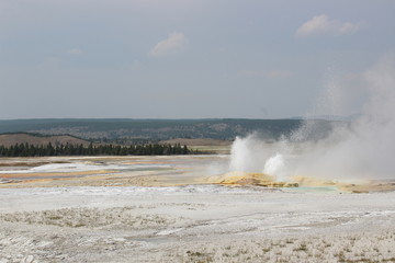 Geyser in Yellowstone National Park.