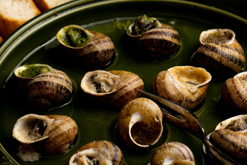 Escargots de Bourgogne - french cuisine