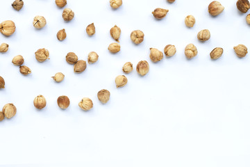 Siam Cardamom or Kapulaga on white background.