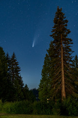 Fototapeta na wymiar Comet Neowise Above Eld Inlet, Olympia Washington