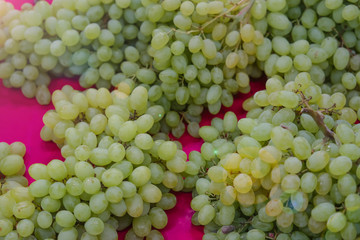 concept of naturally grown white grapes