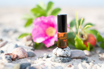 Rose hip essential oil in brown glass bottle on a sandy beach. Natural scene in nature.
