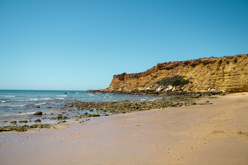 Vistas de una playa o cala con un bosque al lado y con un acantilado de fondo