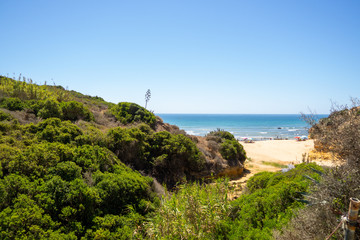 Vistas de una playa o cala con un bosque al lado