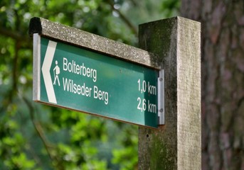 Wanderwegweiser Bolterberg Lüneberger Heide