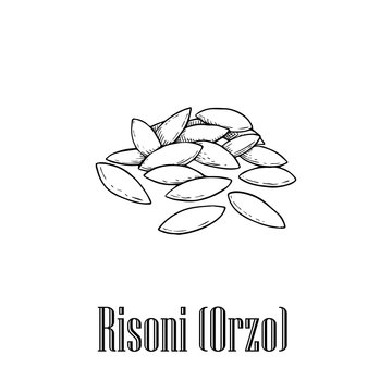 Italian pasta Risoni. Hand drawn sketch style illustration of traditional italian food. Best for menu designs and packaging. Vector drawing isolated on white background.