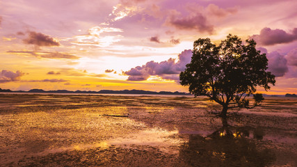 Fototapeta na wymiar Low tide at the beach during sunset , Thailand