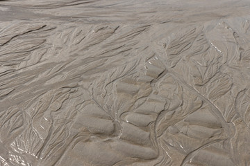 Patterns in the sand at low tide