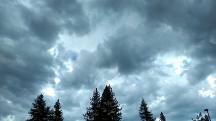 Rainy Day at Lake Tahoe