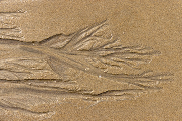 Patterns in the sand at low tide
