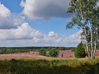 Fototapeta na wymiar Wolkenhimmel über Lüneburger Heide