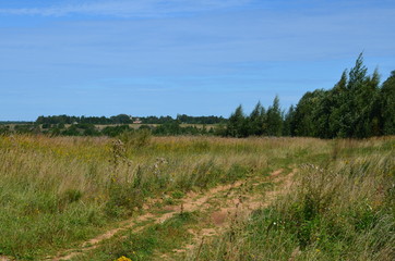 Fototapeta premium Summer country road through a field