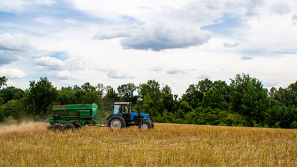 Old blue tractor with a trailer works in a mown rapeseed field against the backdrop of a forest on a sunny day. Seasonal work on a tractor for processing the earth with mineral substances. View side