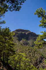 Montaña 