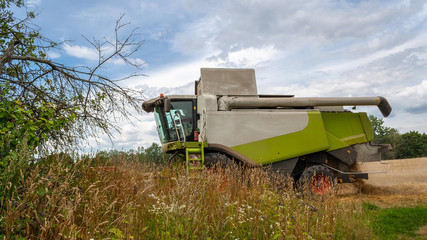 Modern combine harvester for harvesting wheat, working in field. In front him are bushes and thickets of grass against background of forest and sky. Collecting seeds of grain crops. Side view closeup