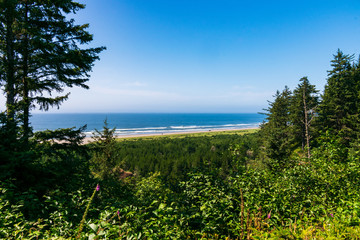 Fototapeta na wymiar Pacific Ocean at Cape Disappointment State Park
