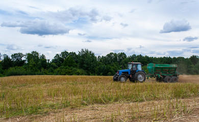 Old blue tractor with a trailer works in a mown rapeseed field against the backdrop of a forest on a sunny day. Seasonal work on a tractor for processing the earth with mineral substances. View side