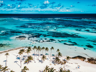 Aerial drone view of paradise beach with palm trees, transparent blue water of Caribbean Sea with...