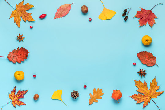 Autumn Composition. Frame Made Of Fall Leaves, Flowers, Berries, Nuts On Blue Background. Flat Lay With Copy Space