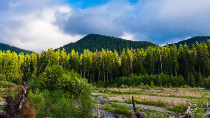 Hoh River in the Hoh Rain Forest in Olympic National Park