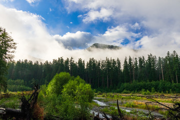 Fog over Hoh River in the Hoh Rain Forest in Olympic National Park