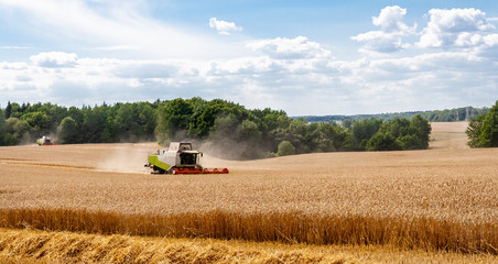 Obraz premium Two modern combines at work in field during wheat harvesting season on sunny day. Harvesters harvest seeds of grain crops on collective farm against backdrop of forest blue sky. View afar. Banner site