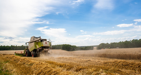 Combine harvester harvests ripe wheat in field with trees and beautiful blue sky with clouds....