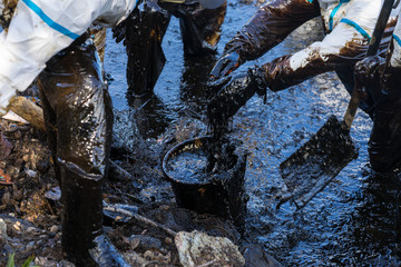 Volunteers clean the ocean coast from oil after a tanker wreck. Mauritius