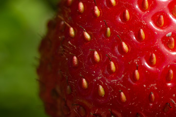 Macro photo of ripe strawberries on a sunny summer day.