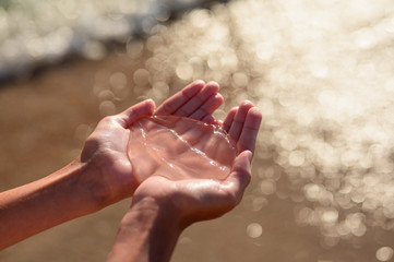 Children's hands hold a jellyfish on the background of the sea. Evening time.