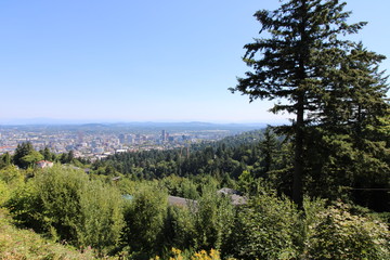 Portland Skyline