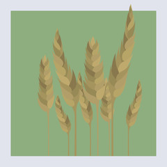 ears of wheat.Wheat grains. Ripe spikelets of cereals.Cereals icon set with rice, corn, oats, rye, barley sign. Ears of wheat bread symbols. Agriculture  symbol. Vector Illustration