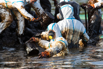 Volunteers clean the ocean coast from oil after a tanker wreck. Mauritius